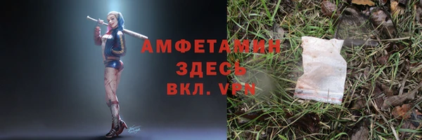 молекула духа Белоозёрский
