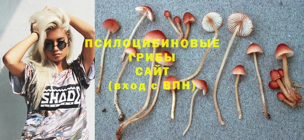 альфа пвп Баксан