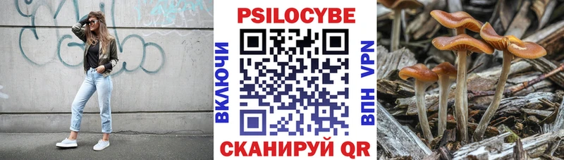 ссылка на мегу ССЫЛКА Ростов-на-Дону Псилоцибиновые грибы Psilocybine cubensis